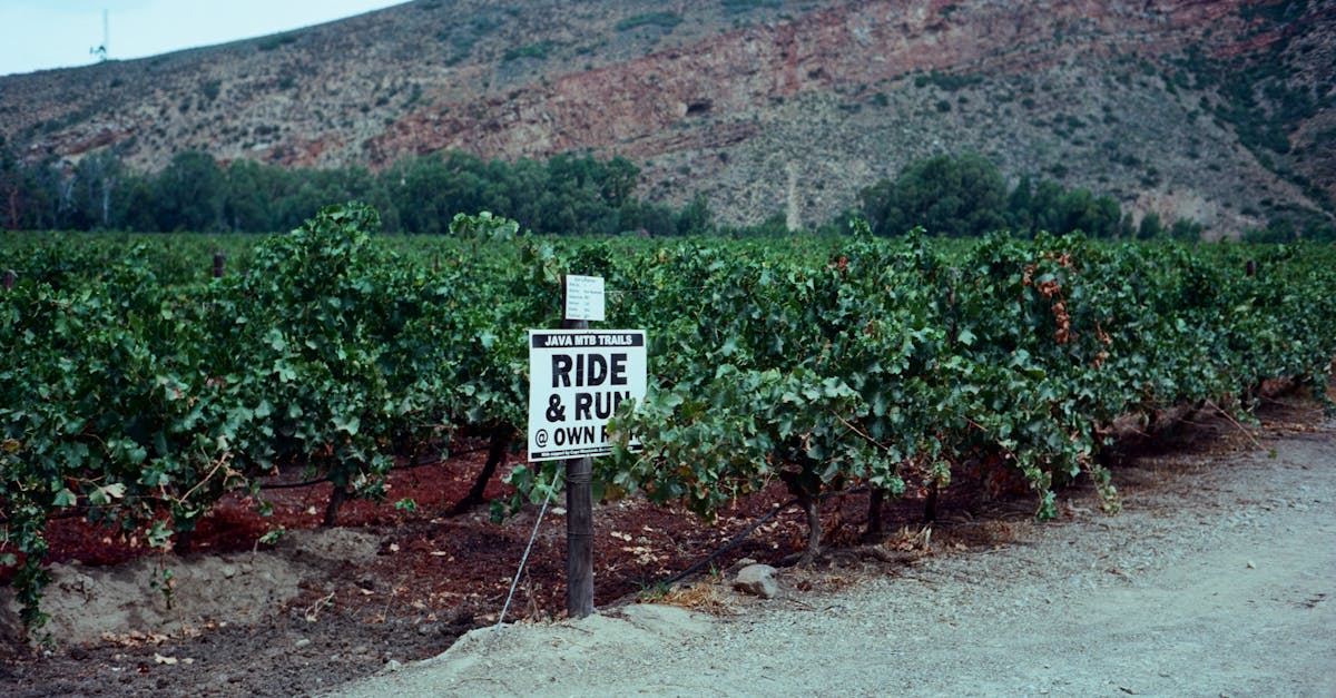 third_section_image_data.image_alt