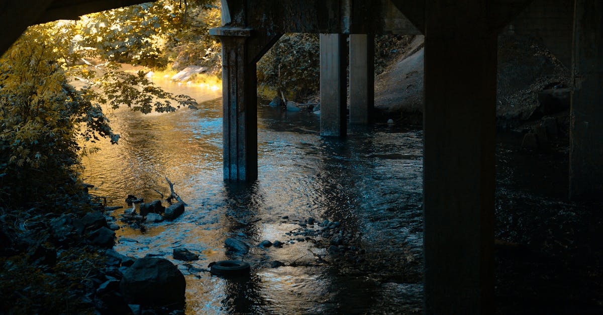 third_section_image_data.image_alt