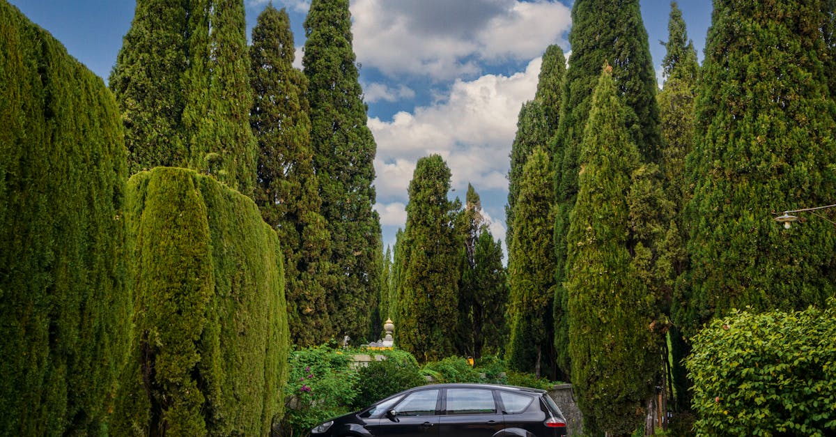 third_section_image_data.image_alt