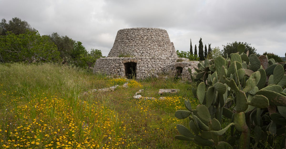 Historic stone hut surrounded by flowers and cactus in Salve, Puglia.