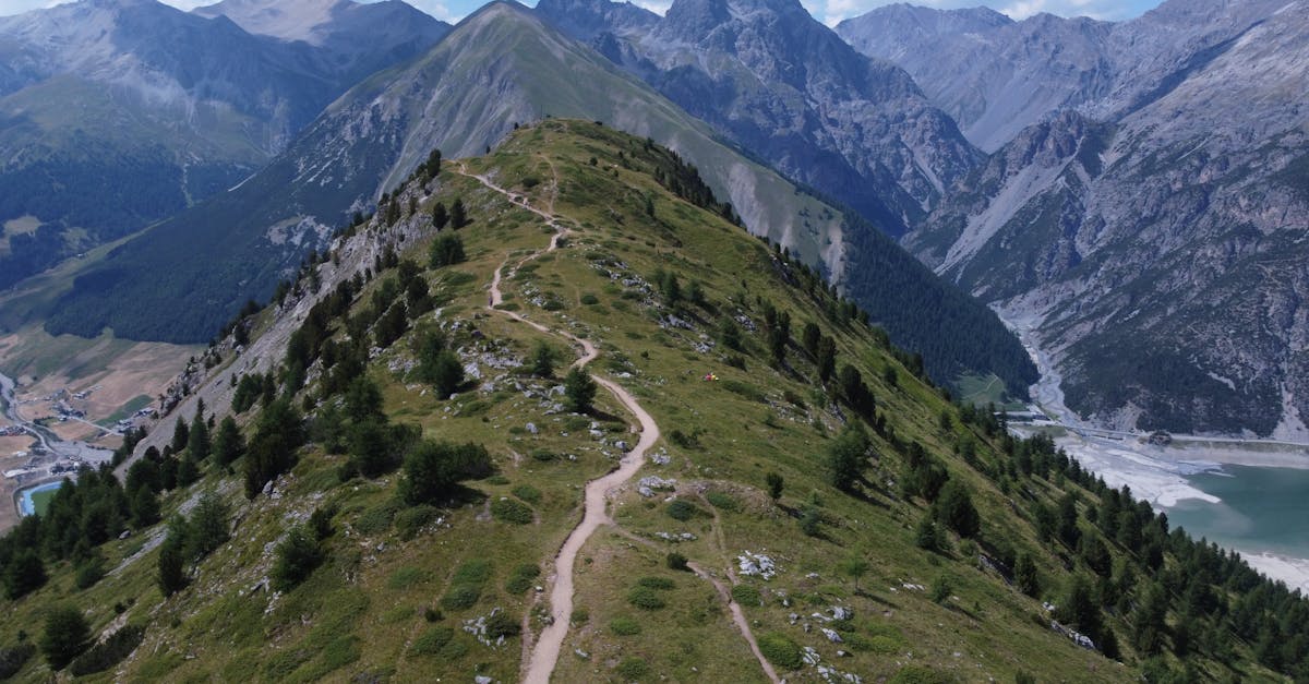 Explore stunning aerial views of Livigno's mountain trail, showcasing the serene landscape and lush greenery.