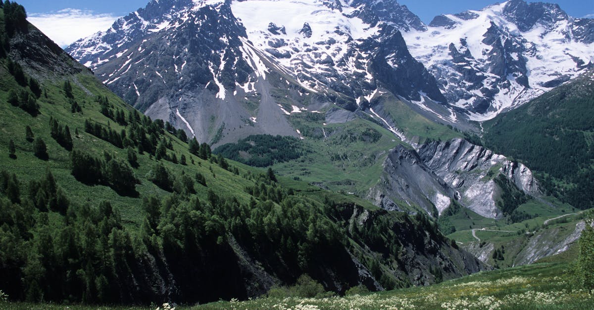 third_section_image_data.image_alt