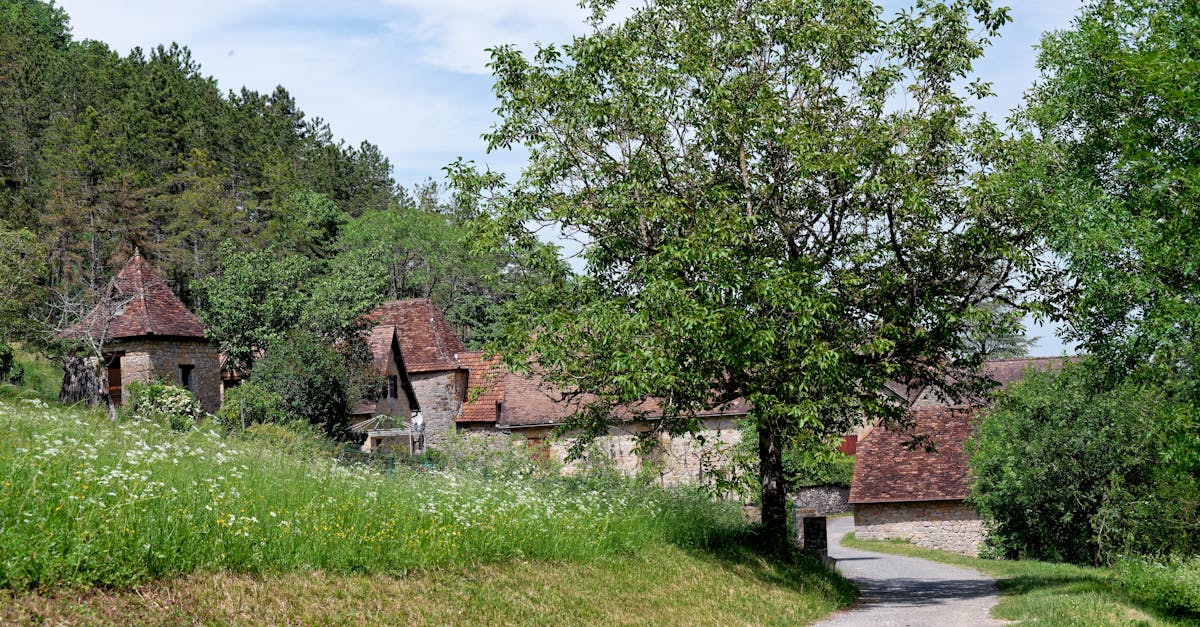 Picturesque view of a quaint village street and greenery in Loubressac, Occitanie, France.