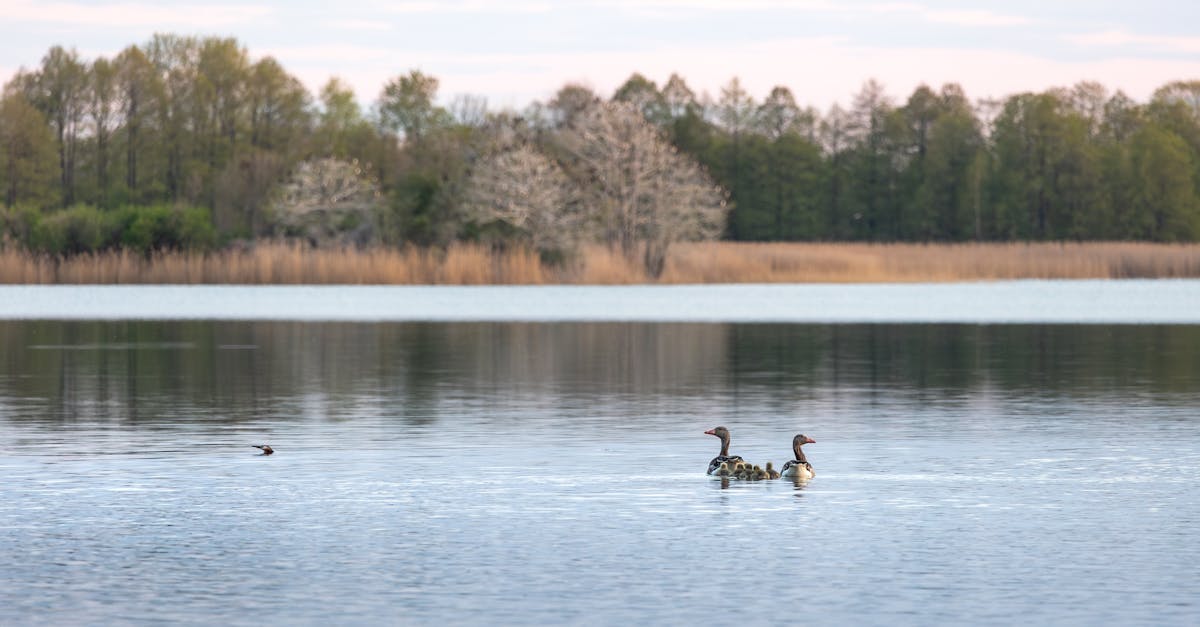 third_section_image_data.image_alt