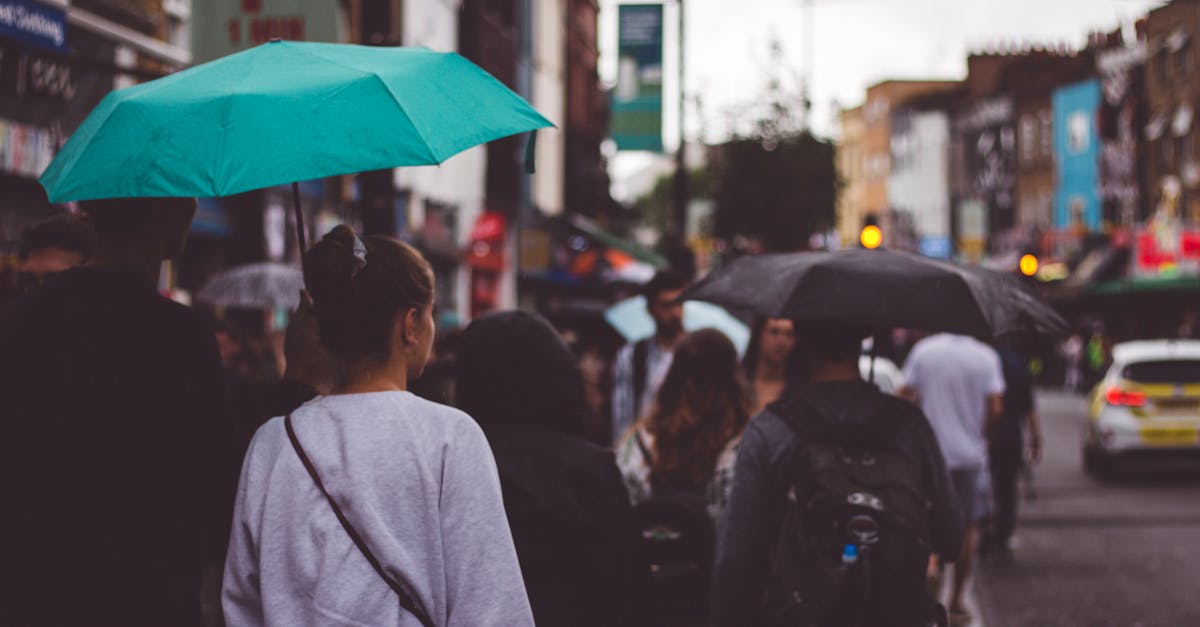 Crowd walking on a rainy London street with colorful umbrellas. Urban life depicted in soft tones.
