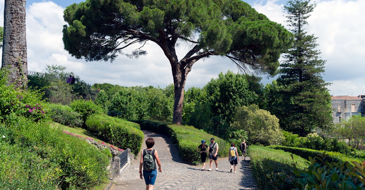 Tourists enjoy a summer stroll along a lush park pathway lined with vibrant trees.