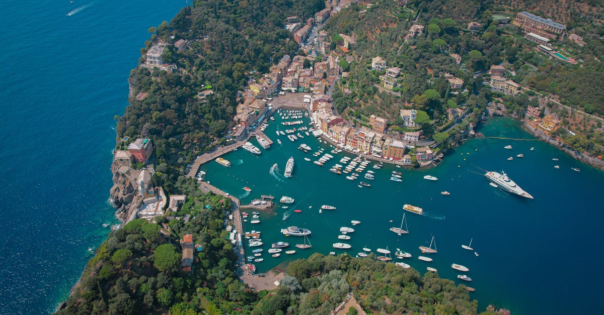 Stunning aerial view of Portofino, Italy, featuring the vibrant harbor and lush hillside.