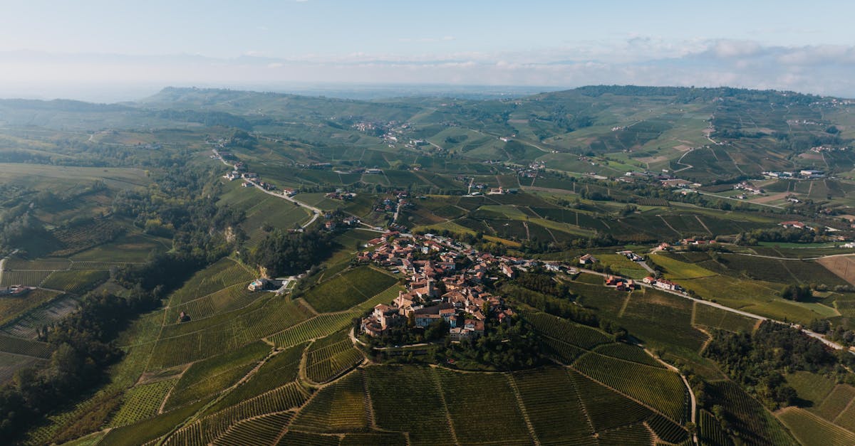 Explore the scenic vineyards of Serralunga d'Alba, Piedmont from above.