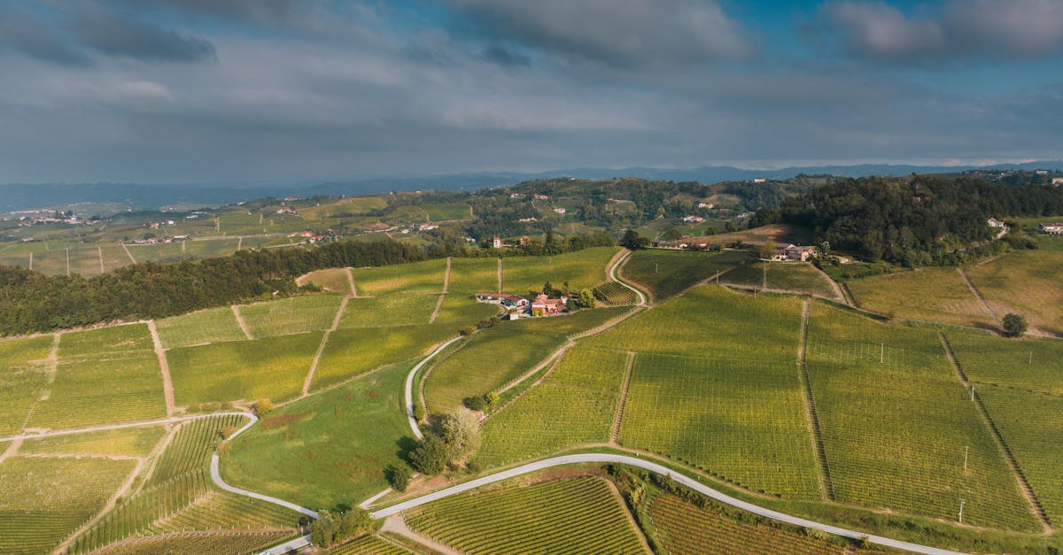 Expansive aerial view of rural vineyards in Panerole, Piemonte capturing lush green fields and rolling hills.