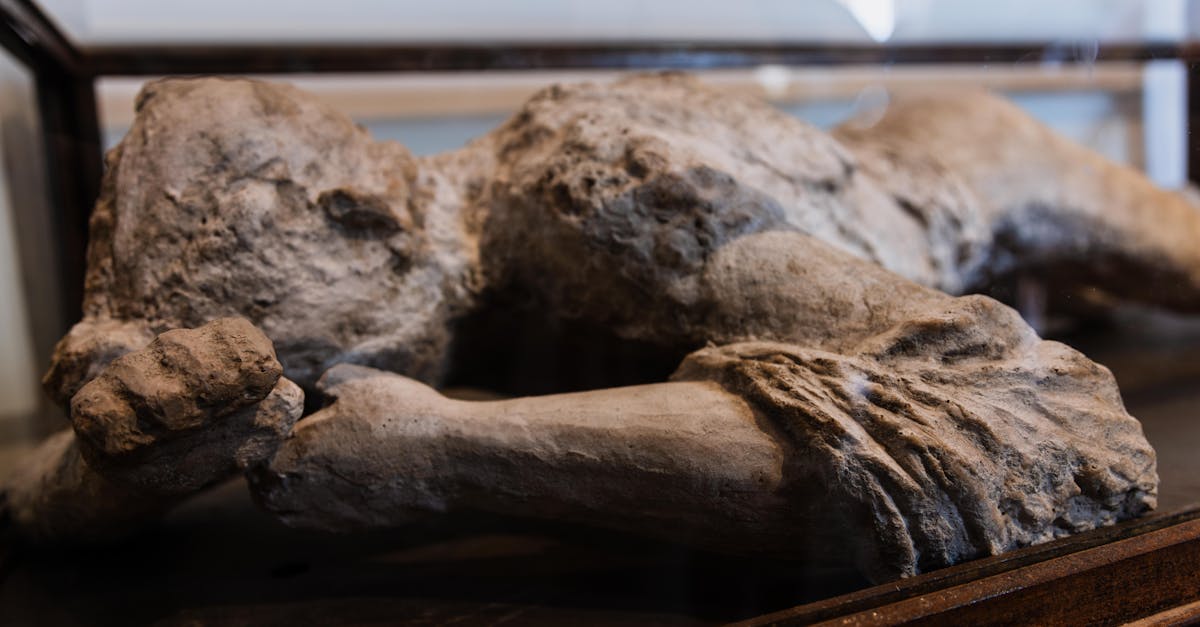 Close-up of a historic sculpture showcasing art and history in a museum setting.