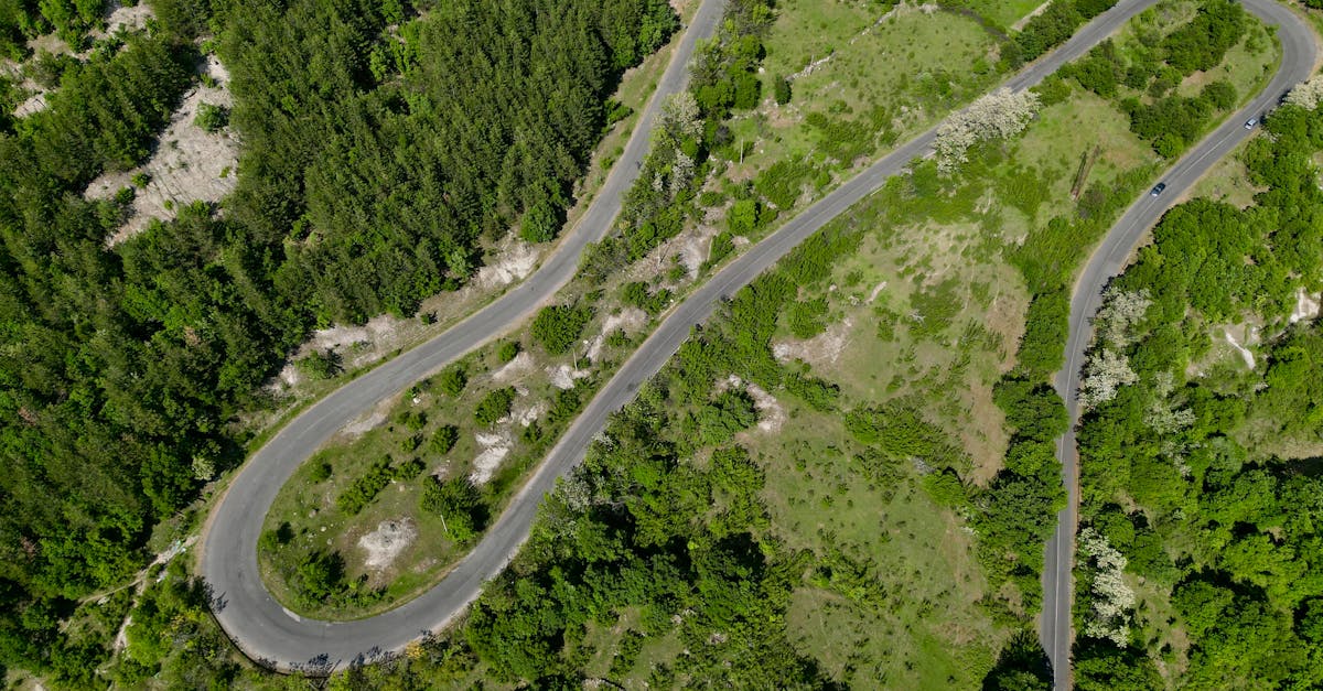 Scenic aerial view of a winding road through lush, dense forest and greenery.