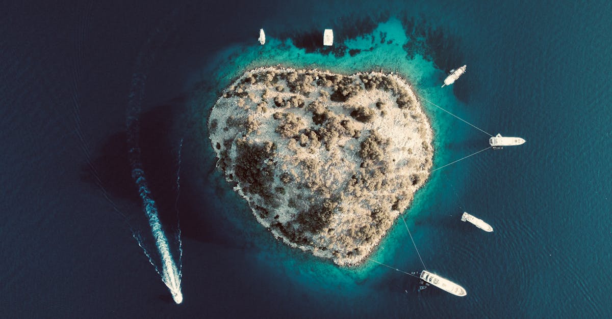 third_section_image_data.image_alt
