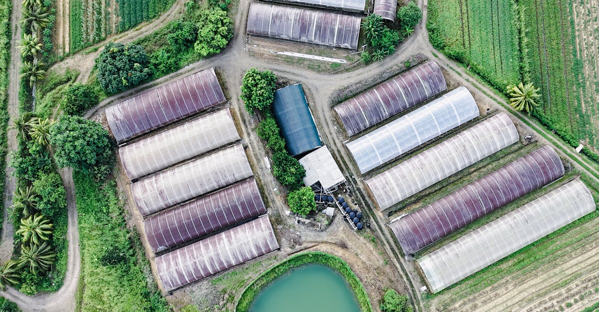 Aerial photograph of greenhouses and fields in Vanard, Castries, Saint Lucia.