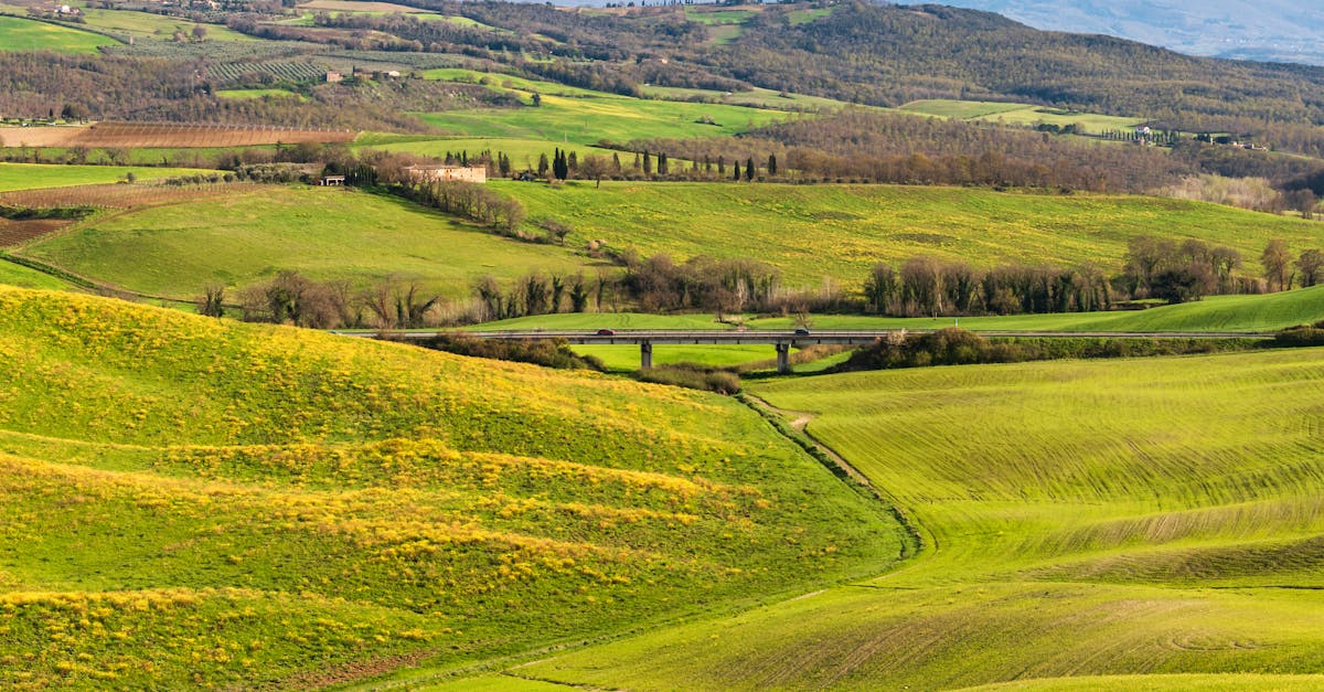 A picturesque view of the green rolling hills in Tuscany, showcasing Italy's natural beauty.