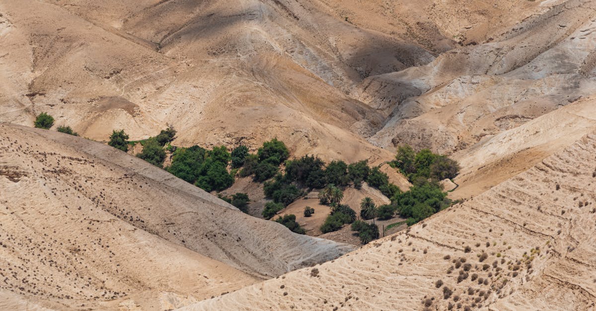 third_section_image_data.image_alt