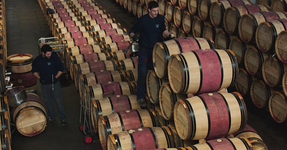 Workers managing oak barrels in a Margaux wine cellar, France.