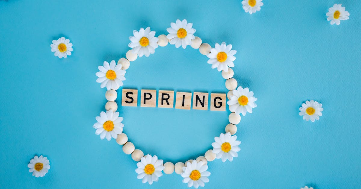 Daisy flower circle on blue backdrop spelling SPRING, perfect for seasonal themes.