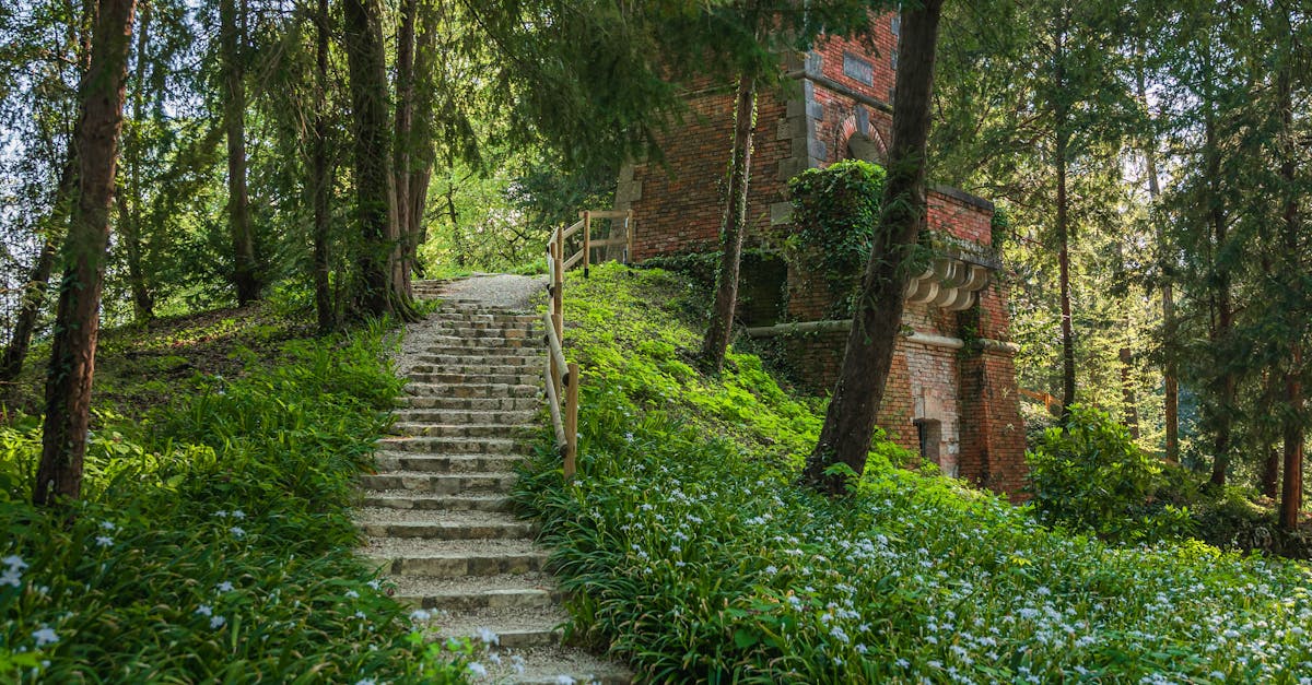 Idyllic forest pathway with stone steps leading to an ivy-covered historic brick building.