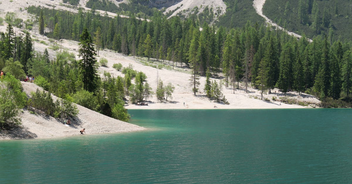 A serene turquoise lake with lush green forest and mountains in South Tyrol, perfect for nature lovers.
