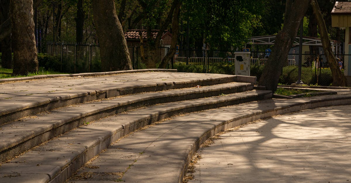 A quiet outdoor park scene with curved stone steps shaded by tall trees.