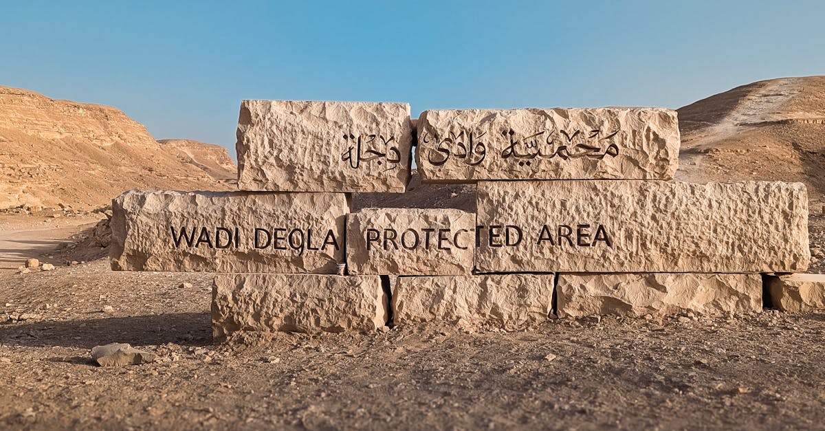 third_section_image_data.image_alt