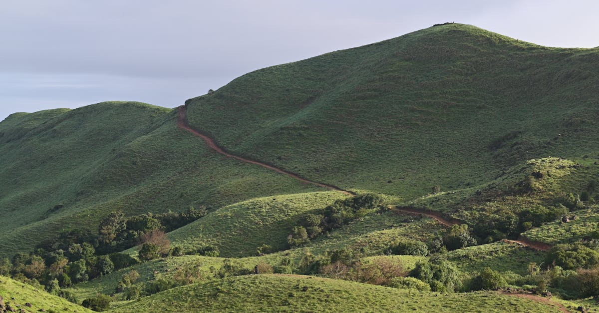 Lush green hills under a clear sky in Madikeri, Karnataka, showcasing natural beauty and tranquility.