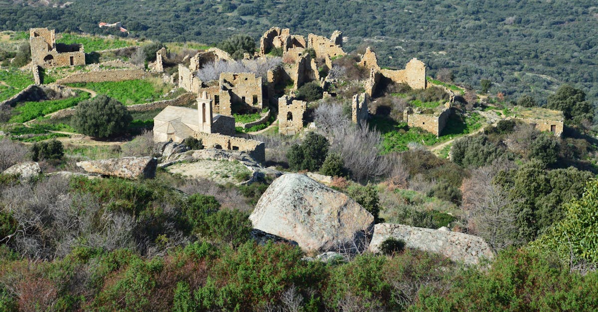 Ancient ruins amidst lush greenery in Lumio, Corse, offering a glimpse of history.