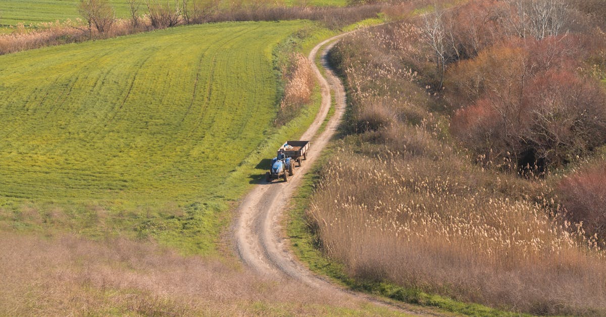 third_section_image_data.image_alt