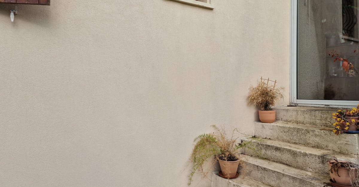 Outdoor stone steps with potted plants against a beige wall, natural setting.