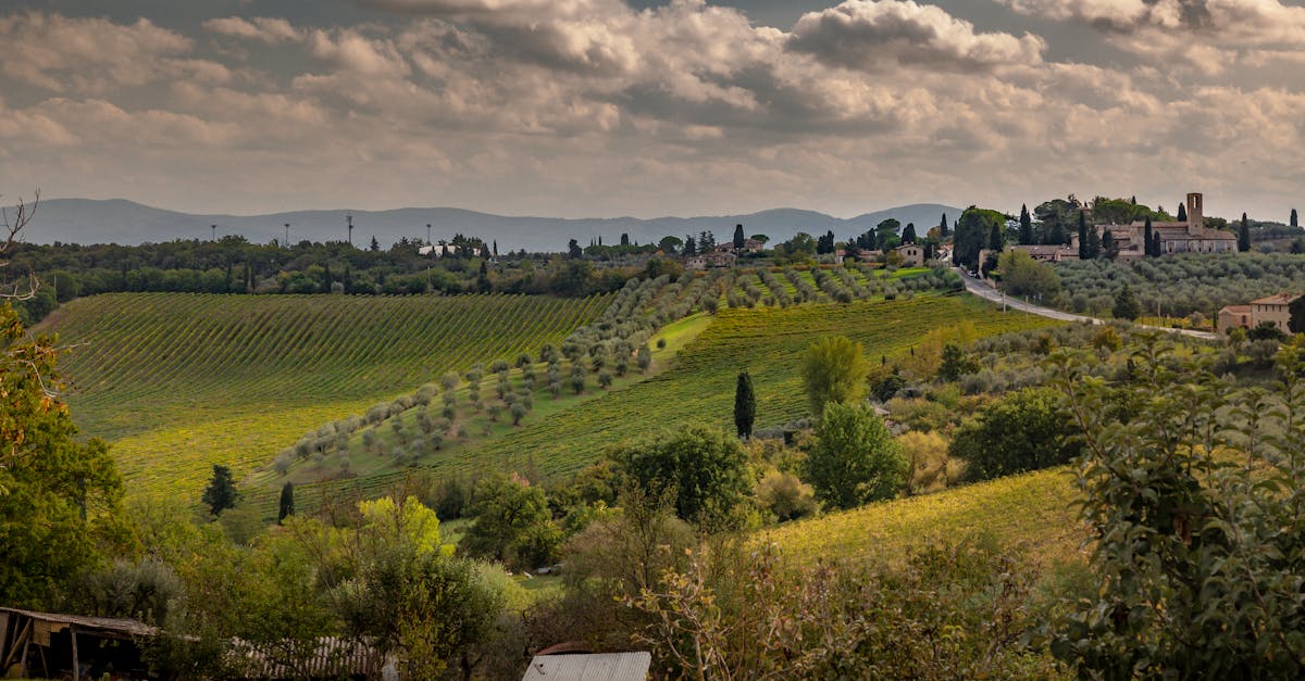 Picturesque view of rolling Tuscan hills, vineyards, and a quaint village under a cloudy sky.