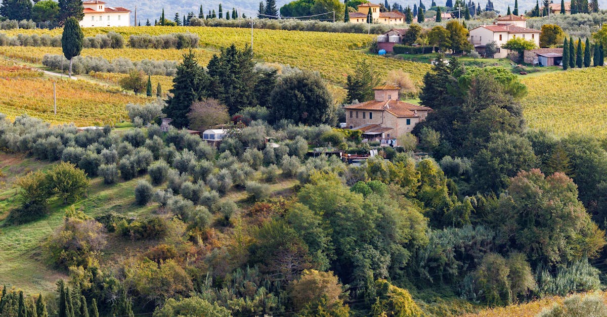 Picturesque landscape of Tuscany featuring olive groves and rolling hills.