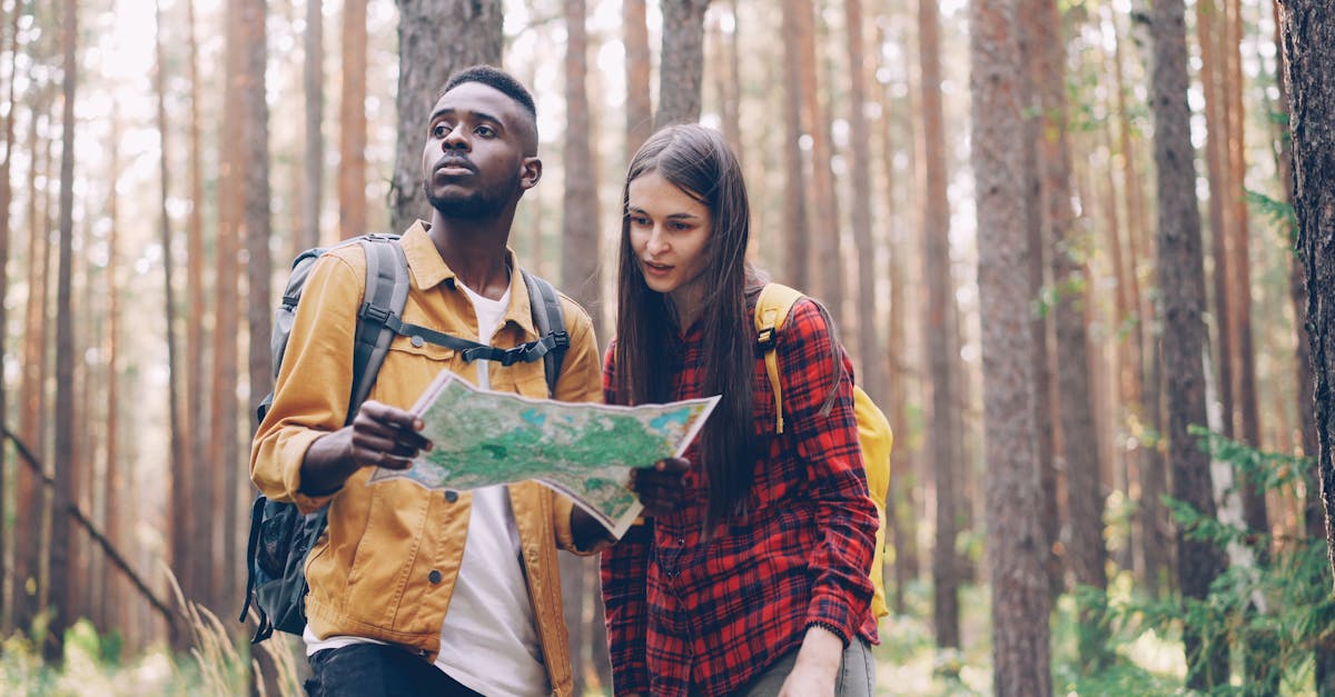 Two young adults navigate through a forest using a map, symbolizing exploration and adventure.