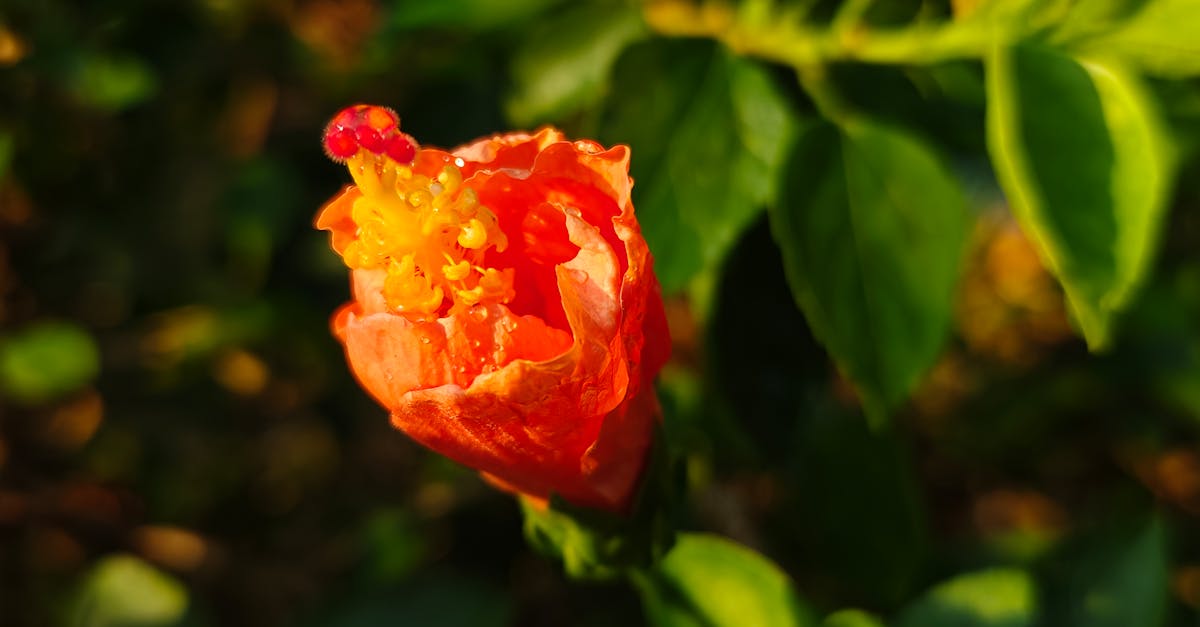third_section_image_data.image_alt