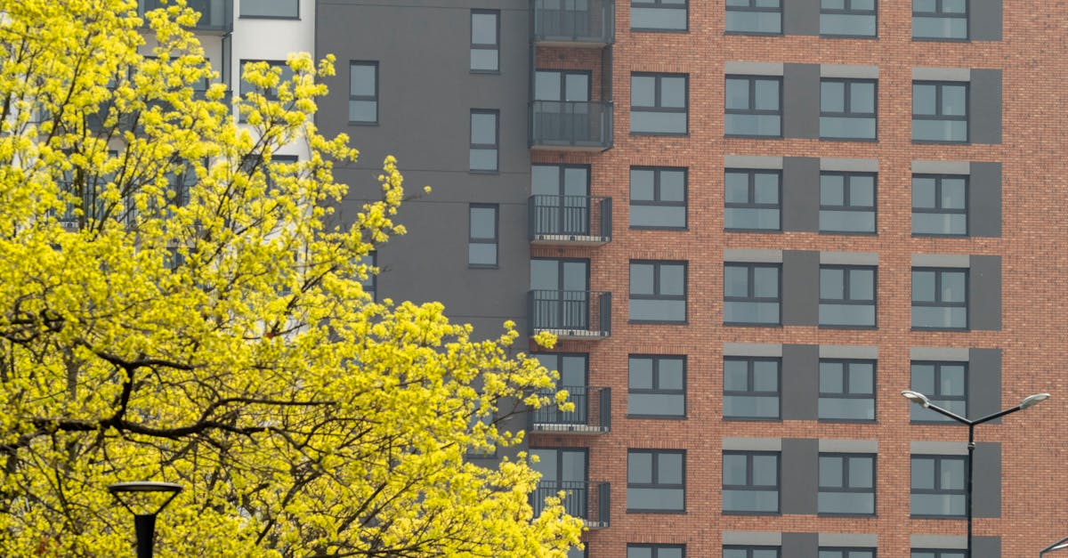 A stunning view of modern architecture with vibrant spring blooms in Wrocław, Poland.