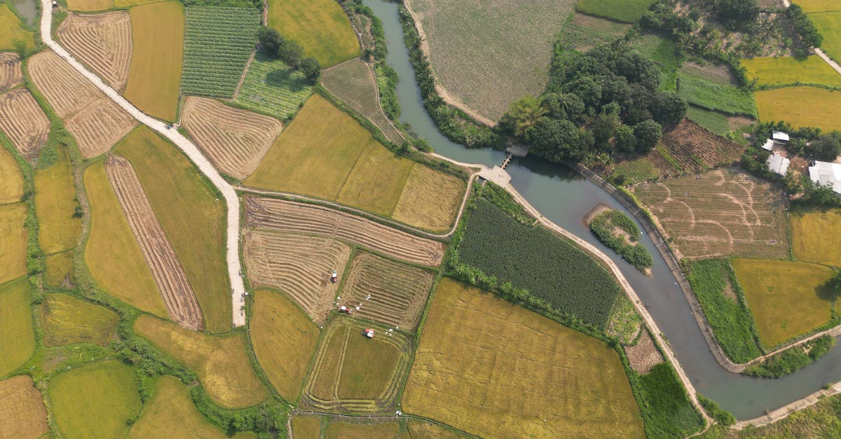 Stunning aerial photo showcasing vibrant rice fields and a winding river in Nha Trang, Vietnam.