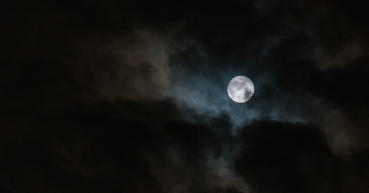 third_section_image_data.image_alt