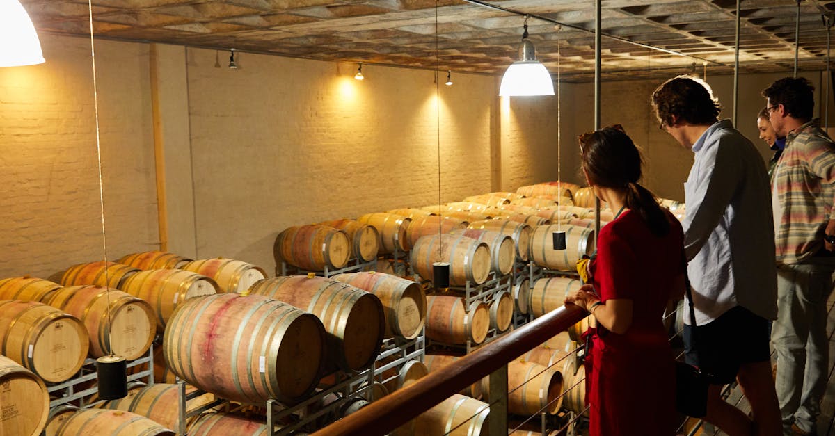 Group of people observing wine barrels in an indoor winery setting.