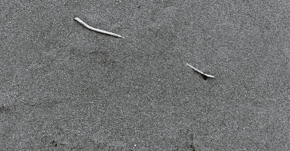 third_section_image_data.image_alt