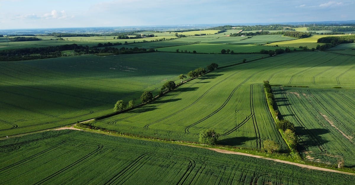 A stunning aerial view of lush green fields in Central Bedfordshire, showcasing rural English landscape.